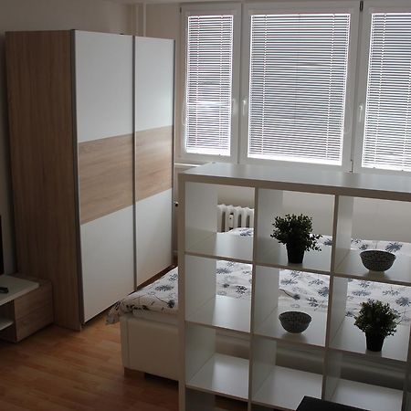 Viktorie Apartment Frydek-Mistek Bagian luar foto