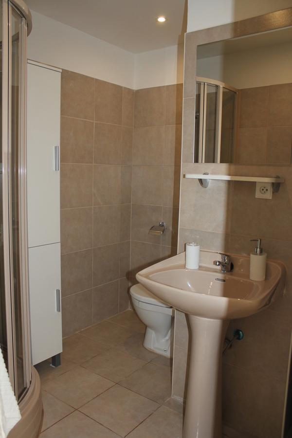 Viktorie Apartment Frydek-Mistek Bagian luar foto